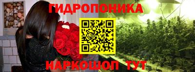 ALPHA PVP Ярославль